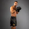 Шорти MMA VENUM Serpenti Black Silver Gold