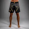 Шорти MMA VENUM Serpenti Black Silver Gold