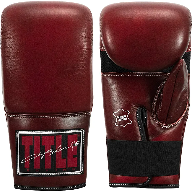 Перчатки для бокса TITLE Boxing Sugar Ray Leonard Throwback Leather