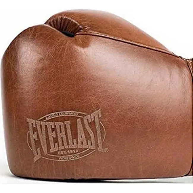 Перчатки для бокса EVERLAST 1910 Hook and Loop Brown