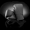 Перчатки для бокса HAYABUSA T360 Charcoal