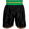 Боксерские шорты WBC by TITLE Boxing Professional Black Green