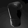 Перчатки для бокса HAYABUSA T360 Black