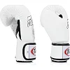 Перчатки для бокса FAIRTEX BGV1BR White