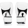 Перчатки для бокса FAIRTEX BGV1BR White