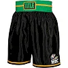 Боксерские шорты WBC by TITLE Boxing Professional Black Green