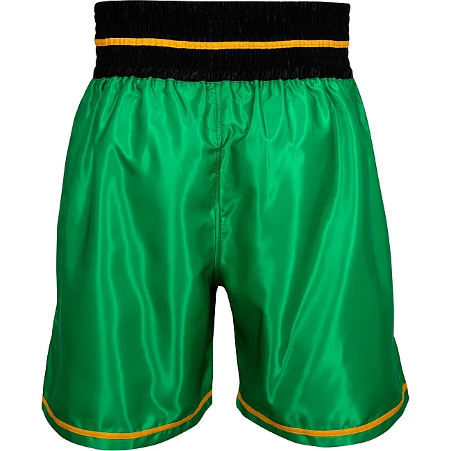 Шорты WBC by TITLE Boxing Professional Green Black