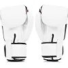 Рукавички для боксу FAIRTEX BGV1 Universal Nation White