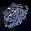 Шорты для Муай Тай HAYABUSA Core Blue