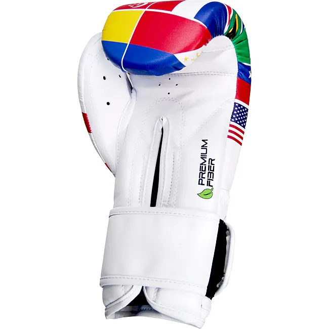 Перчатки для бокса CLETO REYES Premium Fiber Collection World Legacy