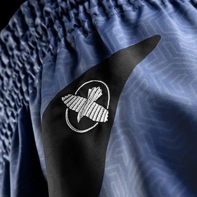 Шорты для Муай Тай HAYABUSA Core Blue