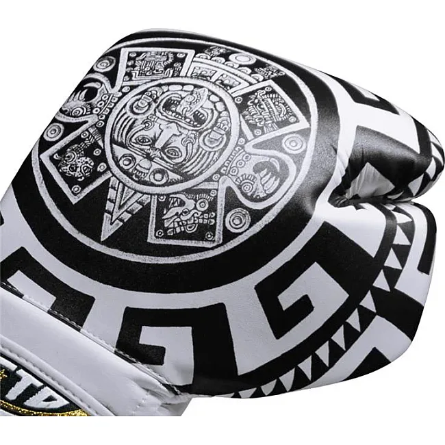 Перчатки для бокса CLETO REYES Premium Fiber Origen Collection Aztec Calendar
