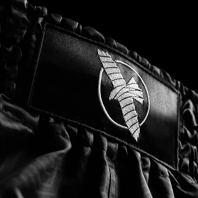Шорты для Муай Тай HAYABUSA Core Black