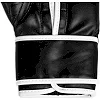 Перчатки для бокса EVERLAST Core 2 Black