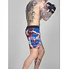 Шорты MMA MANTO IVO