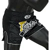 Шорти для Муай Тай FAIRTEX BS170 см 8 Black