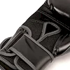 Перчатки для бокса EVERLAST Powerlock 2R Hook and Loop Black