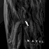 Шорти MMA HAYABUSA Men's Apex Mid-Thigh Carbon Black