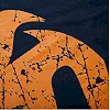 Футболка чоловіча VENUM Giant Black Orange