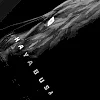 Шорти MMA HAYABUSA Men's Apex Mid-Thigh Carbon Black