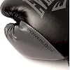 Перчатки для бокса EVERLAST Powerlock 2R Hook and Loop Black