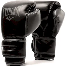Перчатки для бокса EVERLAST Powerlock 2R Hook and Loop Black