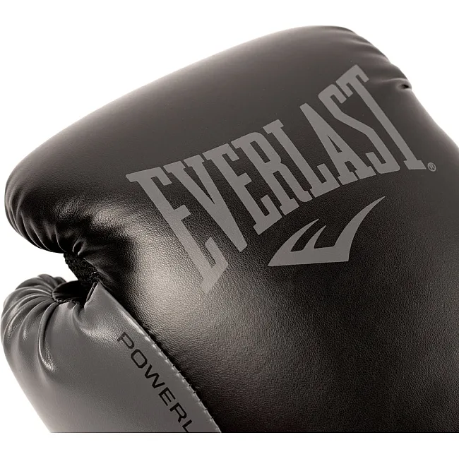 Перчатки для бокса EVERLAST Powerlock 2R Hook and Loop Black