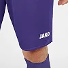 Спортивні шорти manchester 2.0 c104 JAKO 4400-10