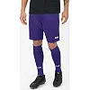 Спортивні шорти manchester 2.0 c104 JAKO 4400-10