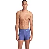 Плавки-шорты для мужчин Arena GRAPHIC SWIM SHORT фиолетовый