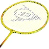 Профессиональная ракетка для бадминтона
 в чехле DUNLOP DL130 см
15234 NITRO-STAR SSX 1.0 YLW G6 HH NF