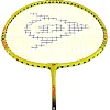 Профессиональная ракетка для бадминтона
 в чехле DUNLOP DL130 см
15234 NITRO-STAR SSX 1.0 YLW G6 HH NF