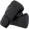 Перчатки для бокса


 PU MAXXMMA

 GB10 (Черный)