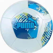 Футбольный футбольный Puma MCFC ftblNRGY Ball белый, синий