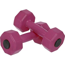 Гантели для фитнеса пластиковые Champion TA-9820-2 2шт 2кг (Розовый)
