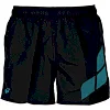 Плавки-шорты для мужчин Arena MEN'S BEACHHORT LOGO