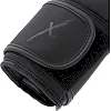 Перчатки для бокса


 PU MAXXMMA

 GB10 (Черный)