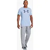 Спортивні штани Under Armour Rival Pants Grey