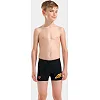 Плавки для мальчиков Arena LETTERING SWIM SHORT черный (для детей)