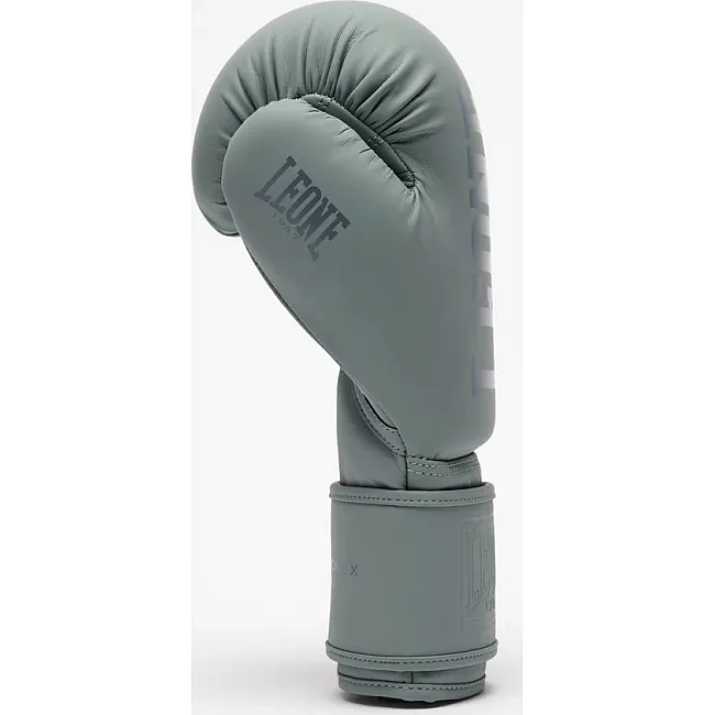 Боксерські рукавиці Leone GN058 TONE X Light grey