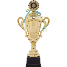 Спортивный кубок наградной SP-SPORT Luck YK082A 43см