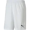 Спортивні шорти чоловічі Puma teamGOAL 23 knit Shorts білий