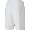 Спортивні шорти чоловічі Puma teamGOAL 23 knit Shorts білий