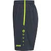 Спортивні шорти Allround JAKO 4499-833