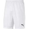 Спортивні шорти чоловічі Puma teamGOAL 23 knit Shorts білий