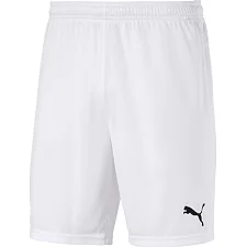 Спортивные шорты мужские Puma teamGOAL 23 knit Shorts белый