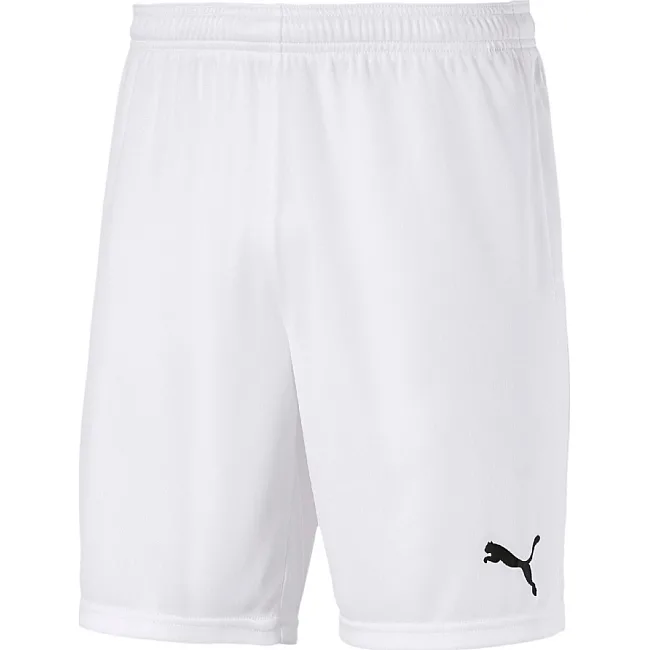 Спортивні шорти чоловічі Puma teamGOAL 23 knit Shorts білий