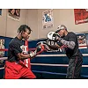 Лапы боксерские TITLE Boxing Attack 