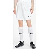 Спортивні шорти чоловічі Puma teamGOAL 23 knit Shorts білий