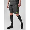 Спортивні шорти Allround JAKO 4499-833